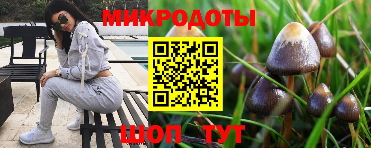 Галлюциногенные грибы GOLDEN TEACHER Мирный
