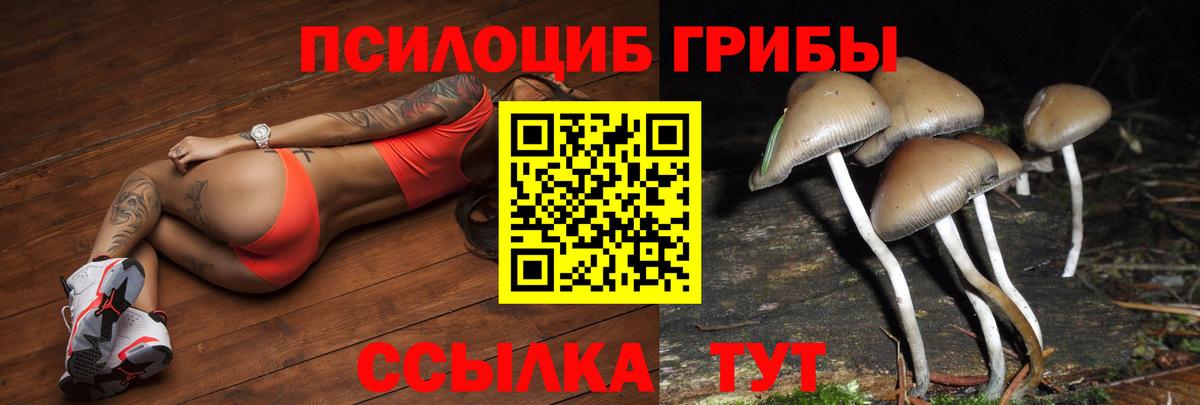 Мирный  Галлюциногенные грибы MAGIC MUSHROOMS  Вход с VPN 